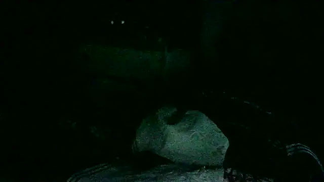 DI4MOND FIR3 online show from November 2025 10:41:02 AM