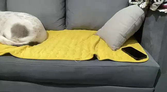 Snapshot of 4small4inchlol chatting on January 2025 10:12:02 PM 4small4inchlol online show from January 2025 10:12:02 PM