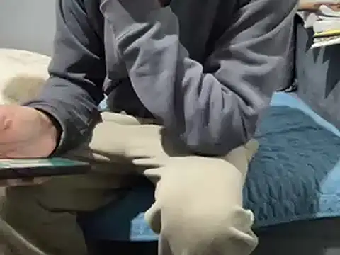 Snapshot of 4small4inchlol chatting on February 2025 10:28:02 AM 4small4inchlol online show from February 2025 10:28:02 AM