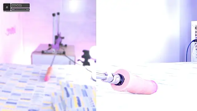 pamela cm online show from February 2026 11:55:01 AM