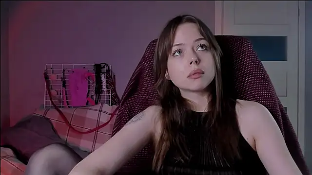 hype meal home online show from November 2025 05:37:02 PM