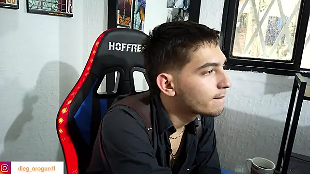 Snapshot of DiegoRogue_ chatting on March 2025 10:07:02 PM DiegoRogue online show from March 2025 10:07:02 PM