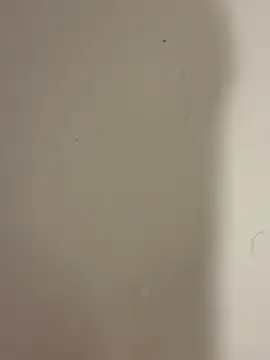 Snapshot of Serkan3356 chatting on February 2026 12:31:01 PM Serkan3356 online show from February 2026 12:31:01 PM