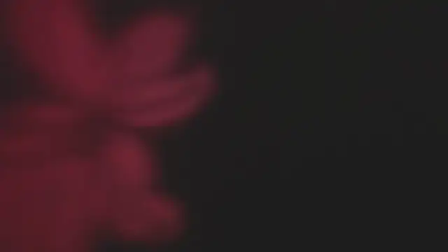 Snapshot of Lola69Rosexxx chatting on February 2025 09:45:02 PM Lola69Rosexxx online show from February 2025 09:45:02 PM