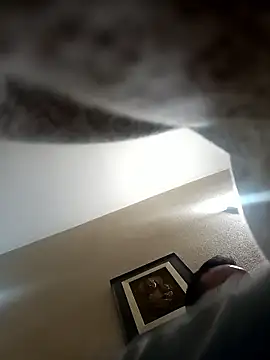 Porco81cazzo online show from January 2026 06:33:01 PM