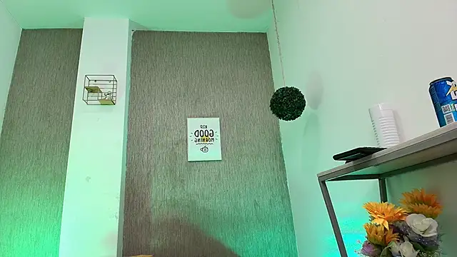 Snapshot of Steven_x94 chatting on February 2025 12:36:02 PM Steven x94 online show from February 2025 12:36:02 PM