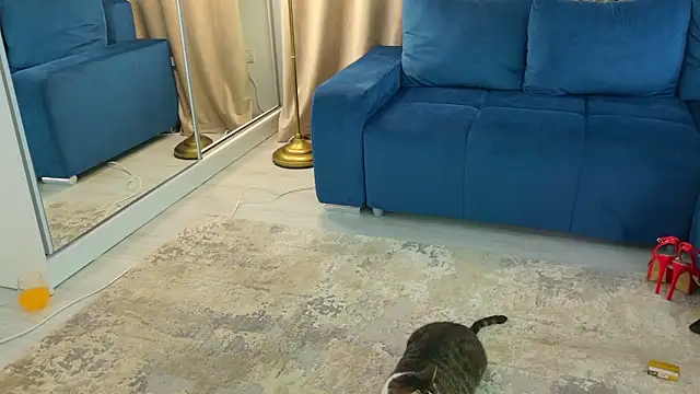 Addictive T online show from February 2025 04:54:02 AM