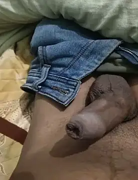 iaparna online show from December 2024 08:32:02 AM