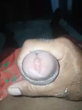 taylorWiiz online show from November 2025 11:37:01 PM