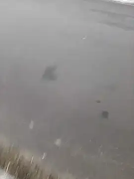 Snapshot of BRUNNA chatting on March 2025 03:34:01 AM BRUNNA online show from March 2025 03:34:01 AM