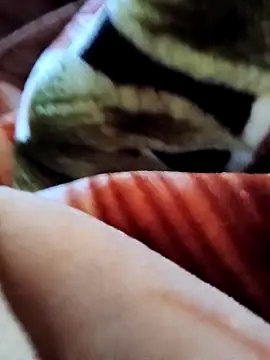 Snapshot of yhona_darling chatting on December 2025 05:36:02 AM yhona darling online show from December 2025 05:36:02 AM