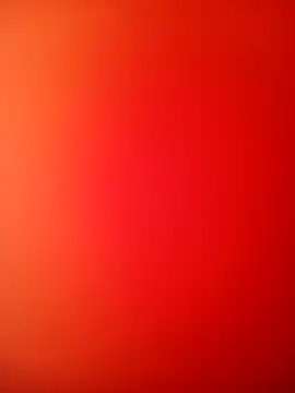 bustybillies online show from December 2025 11:37:01 AM