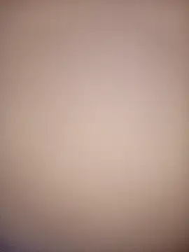 bustybillies online show from December 2025 03:58:02 AM