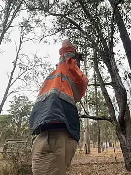 ausbod online show from January 2025 08:00:02 AM