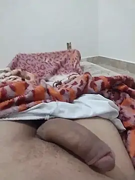 Snapshot of lm279 chatting on February 2025 01:16:02 AM lm279 online show from February 2025 01:16:02 AM