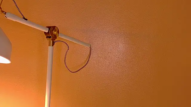 ParisFox  online show from December 2025 01:12:02 AM