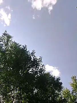 QcMisterv13 online show from July 2026 01:51:02 PM