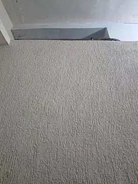 Priya Strip online show from March 2026 08:30:02 PM