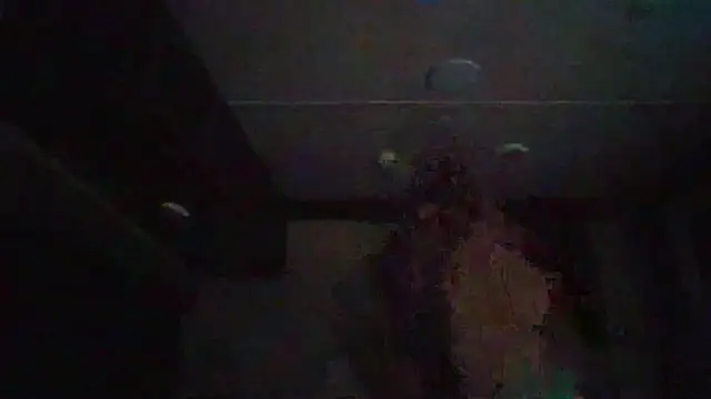 Cobra500hp online show from February 2026 03:44:02 AM