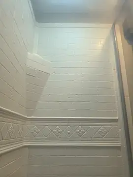 Cobra500hp online show from March 2026 12:49:02 PM