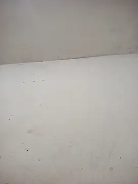 Snapshot of ambarlennoix chatting on December 2025 06:21:01 AM ambarlennoix online show from December 2025 06:21:01 AM