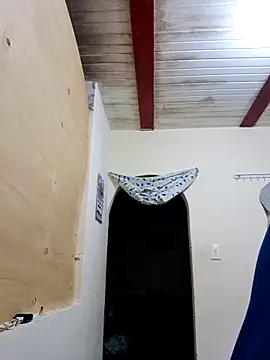 Snapshot of Zaralu_ chatting on November 2025 12:17:01 PM Zaralu online show from November 2025 12:17:01 PM