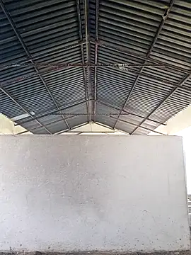 Snapshot of bull_Giant chatting on December 2024 02:44:01 PM bull Giant online show from December 2024 02:44:01 PM