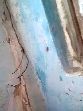 Natasha-In69 online show from February 2026 12:15:01 AM