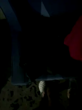 JosephAKenwood online show from December 2025 01:39:01 PM