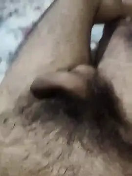 Snapshot of hard_cock99 chatting on September 2025 04:44:02 PM hard cock99 online show from September 2025 04:44:02 PM
