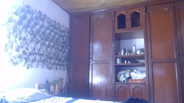 cougar town online show from January 2025 04:52:01 PM