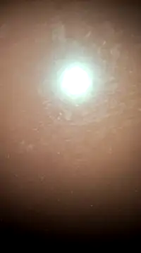 Snapshot of tall_nangu chatting on February 2025 06:04:02 PM tall nangu online show from February 2025 06:04:02 PM