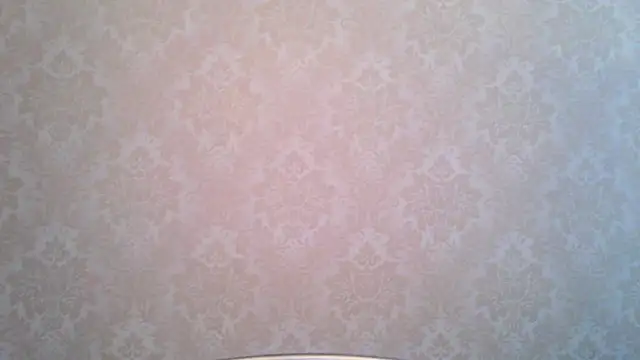 Snapshot of Kashtanka_ chatting on November 2025 10:04:02 AM Kashtanka online show from November 2025 10:04:02 AM