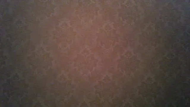 Snapshot of Kashtanka_ chatting on November 2025 04:55:01 AM Kashtanka online show from November 2025 04:55:01 AM