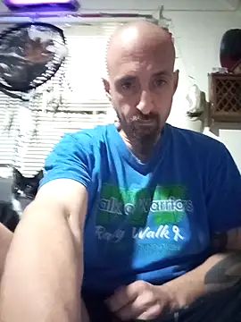 armdy371 online show from May 2026 02:01:01 PM