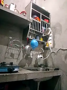 VyingAviary online show from February 2025 04:01:01 AM