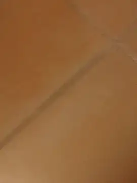 sexyboy96960 online show from January 2025 12:23:02 AM