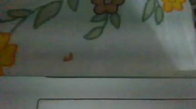 biggest lund  online show from December 2024 12:45:02 PM