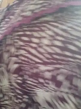 Snapshot of samitasharma chatting on November 2025 04:00:01 AM samitasharma online show from November 2025 04:00:01 AM