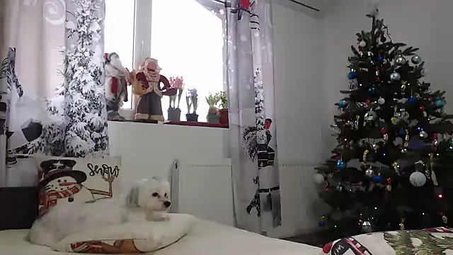 Snapshot of SweetMaddy888 chatting on December 2024 07:10:01 AM SweetMaddy888 online show from December 2024 07:10:01 AM