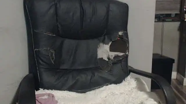 sexyfuckers online show from November 2025 09:37:01 PM