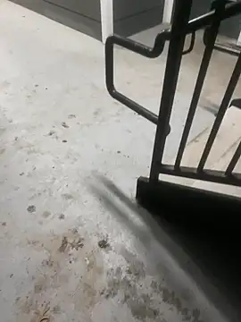 zeekBbc online show from March 2026 09:04:01 AM