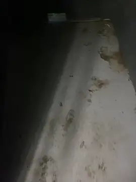 zeekBbc online show from April 2026 12:41:01 AM