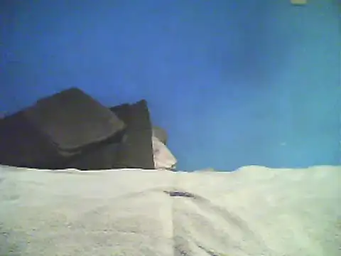 Snapshot of Vago745 chatting on December 2024 10:50:01 AM Vago745 online show from December 2024 10:50:01 AM