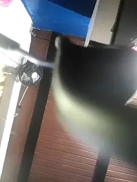 love evelin online show from February 2025 08:07:02 PM