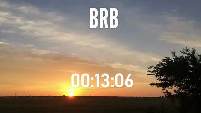 Snapshot of ulmo_br chatting on October 2025 12:26:01 AM ulmo br online show from October 2025 12:26:01 AM