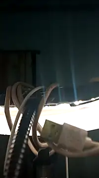 Aroma Sl online show from January 2025 04:11:02 PM