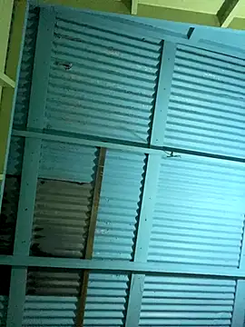 Snapshot of islandvybee55 chatting on December 2025 05:01:01 AM islandvybee55 online show from December 2025 05:01:01 AM