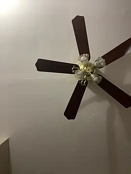 Snapshot of islandvybee55 chatting on March 2026 02:56:01 PM islandvybee55 online show from March 2026 02:56:01 PM