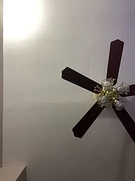 Snapshot of islandvybee55 chatting on April 2026 12:01:01 PM islandvybee55 online show from April 2026 12:01:01 PM